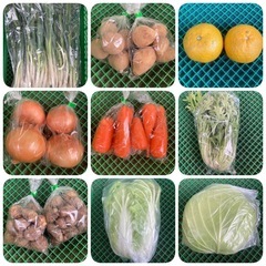 【やさい無人販売所】5月2日(金)営業再開です‼️※写真は…