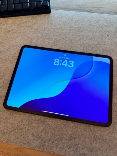本日限定出品 iPad Pro 11インチ 第5世代 M4 256GB WIFIモデル