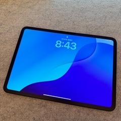 本日限定出品　iPad Pro 11インチ 第5世代 M4 25...