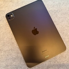本日限定出品　iPad Pro 11インチ 第5世代 M4 256GB WIFIモデルの画像