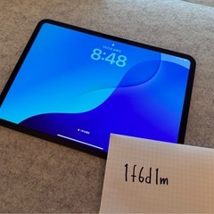 本日限定出品　iPad Pro 11インチ 第5世代 M4 256GB WIFIモデルの画像