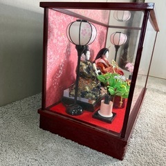 【137】雛人形 ガラスケース付き 桜の背景の画像