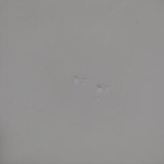 【2月中】nometa ベビースケール タニタの画像