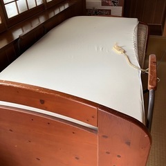 電動ベット