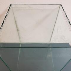 【受け渡し者決定】30cmキューブ水槽 ハイタイプ ガラス製の画像