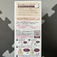 Liese ブリーチオンカラーの画像