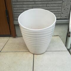 植木鉢*陶器製の画像