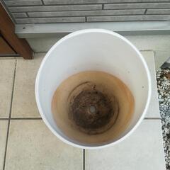 植木鉢*陶器製の画像