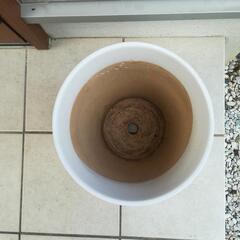 植木鉢*陶器製2*の画像