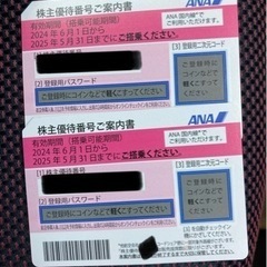 ANA株主優待チケット