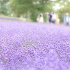 自分と向き合い未来を変える心理学講座