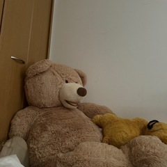 クマの人形