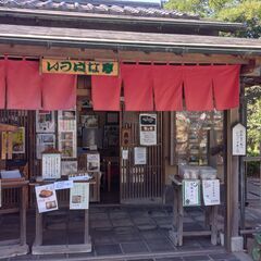 自分でお抹茶を点てたい方の講座　令和7年2月15日　11:15　茶道体験　千葉市の画像