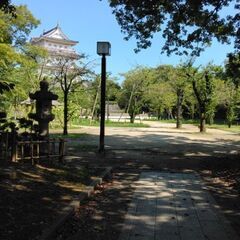 自分でお抹茶を点てたい方の講座　令和7年2月15日　11:15　茶道体験　千葉市の画像
