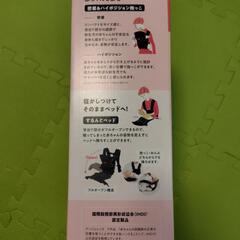 アンジェレッテ　ベビーキャリア　プチの画像