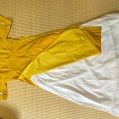 ベトナムのアオザイ
の画像