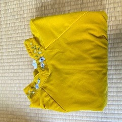 ベトナムのアオザイ
の画像