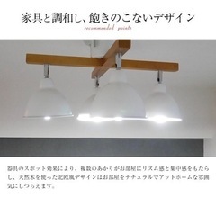 天然木使用のシーリングスポットライト （ホワイト色）の画像