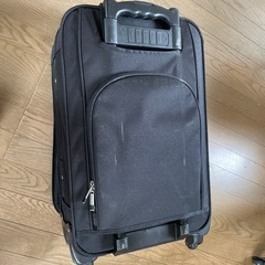 ソフトキャリーケースの画像