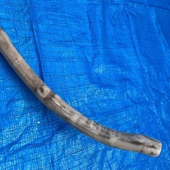 インテリア　流木　　生活雑貨の画像