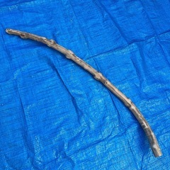 インテリア　流木　　生活雑貨の画像