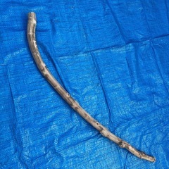 インテリア　流木　　生活雑貨の画像