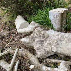 【庭木伐採･草刈り】ダイセイにおまかせください！ - 鹿児島市