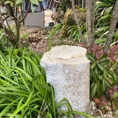 【庭木伐採･草刈り】ダイセイにおまかせください！ - 剪定/造園