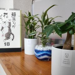 ☆サンライズアカデミー☆清須市 学習塾☆の画像