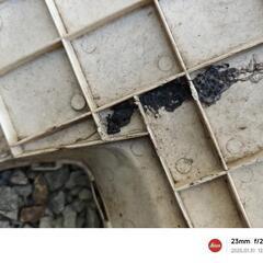 ホンダ スカッシュ 足元の画像