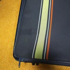 ガーメントバッグの画像