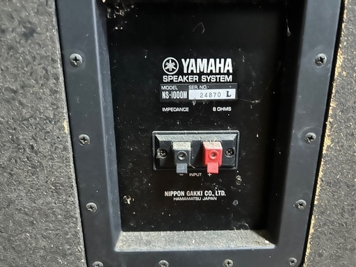 R219)【音だしOK】BOSE/ボーズ 55WER-S スピーカーペア 連番 スタンド無し