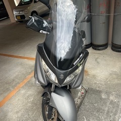 バーグマン