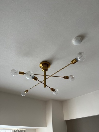 Astre unico別注カラー ゴールド シーリングライト 【公式通販】 Astre