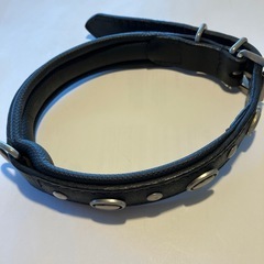 牛革　犬　首輪　　Ferplast