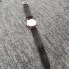 早い者勝ち♪SEIKO セイコー腕時計 レディースの画像