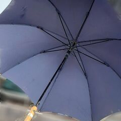 紳士物長傘　紺　65㎝　LLの画像