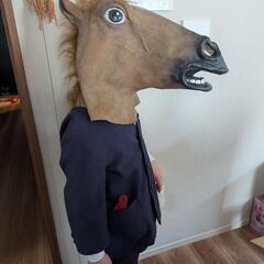 パーティーグッズ　リーゼント２個、馬１個の画像