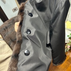 レリアンコート超美品(リスの毛)の画像