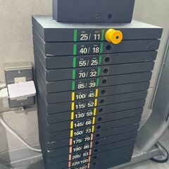 【オンライン決済】業務用でも使えるラットプルマシンの画像