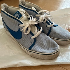 NIKE スニーカー　ゼビオ限定モデル