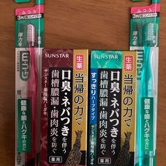 サンスター　歯ブラシ　生薬歯磨き粉