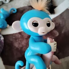 ハグミーモンキーの画像