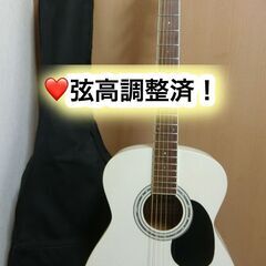 ❤️弦高調整済！「Legend by ARIA　FG-15PWH...