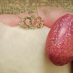 【未使用タグあり】USJ限定 ハローキティの画像