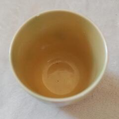 湯呑みの画像
