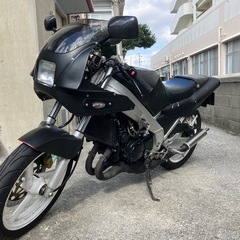 TZR250