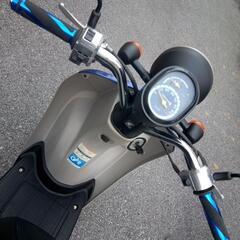 ワンオーナー❗HONDAトゥディF　の画像