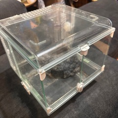 爬虫類用の飼育ケースの画像