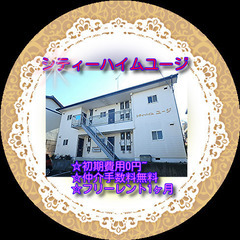 🍒シティーハイムユージ203号室🍒🌼初期費用0円～😲✨仲介…